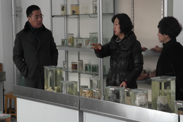 抓安全,促发展