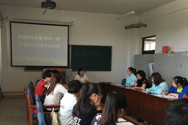 支部书记及委员“两学一做”专题培训