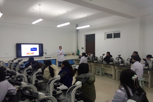 病理学院举行 “教学能力卓越计划”培训学习交流会