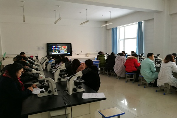 病理学院全体教职工学习十八届六中全会精神